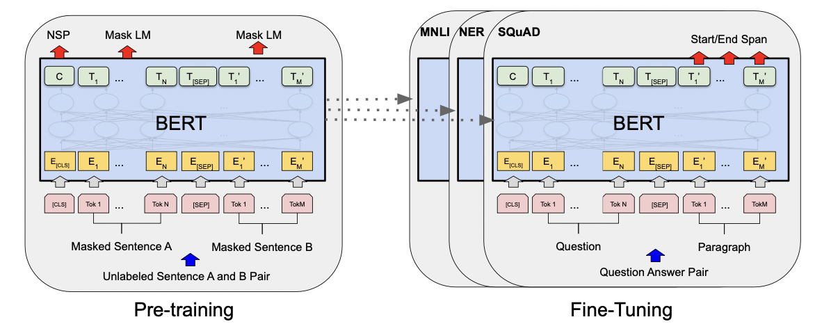 BERT: pre-training and fine-tuning